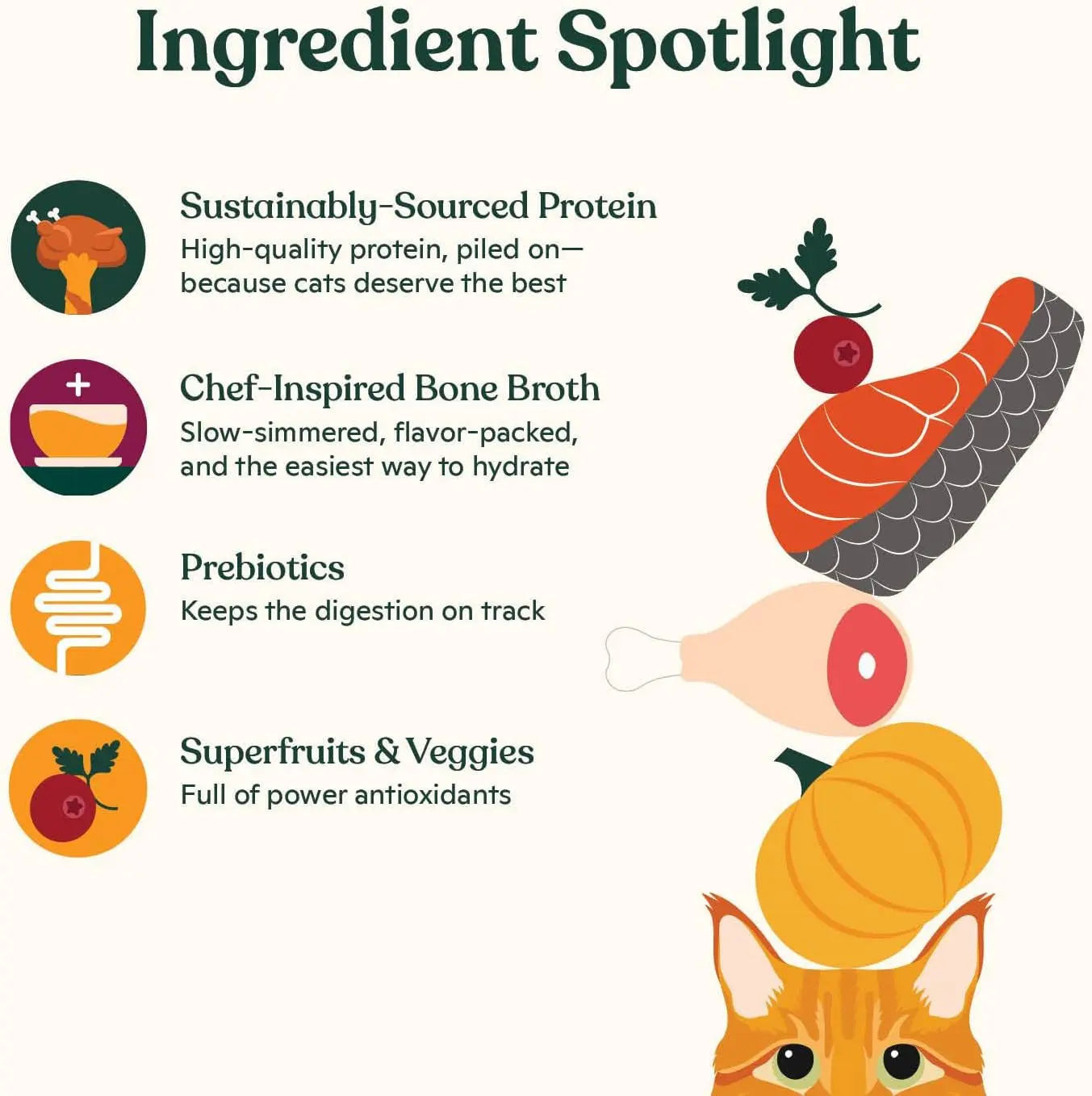 Wet Cat Food Variety Pack Bone Broth Gravy High Protein Chicken Salmon 12Pk