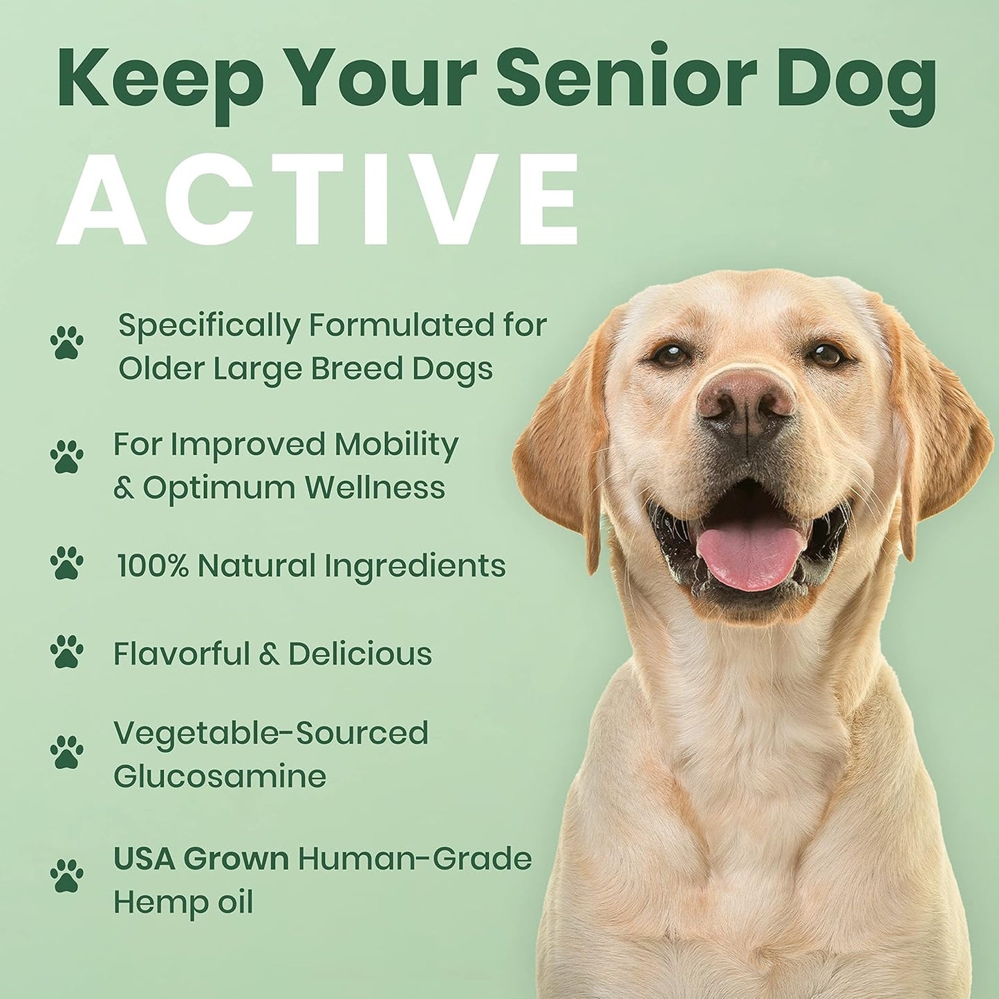 Dog Hip Joint Supplement Hemp Glucosamine Chews Senior Large Breed