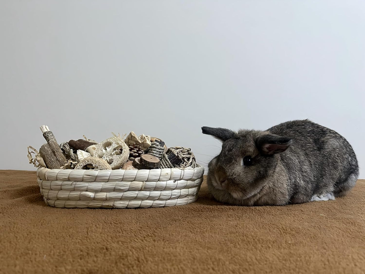 31PCS Natural Rabbit Chew Toys Set for Small Pets Dental Care
