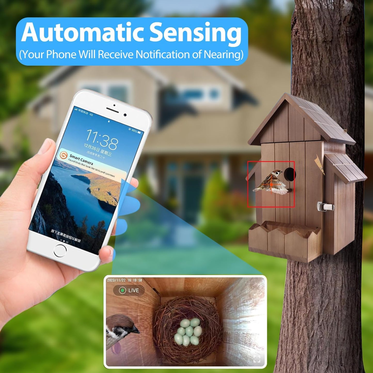 Bird House Camera Solar WiFi 1080P HD Motion Detection Night Vision