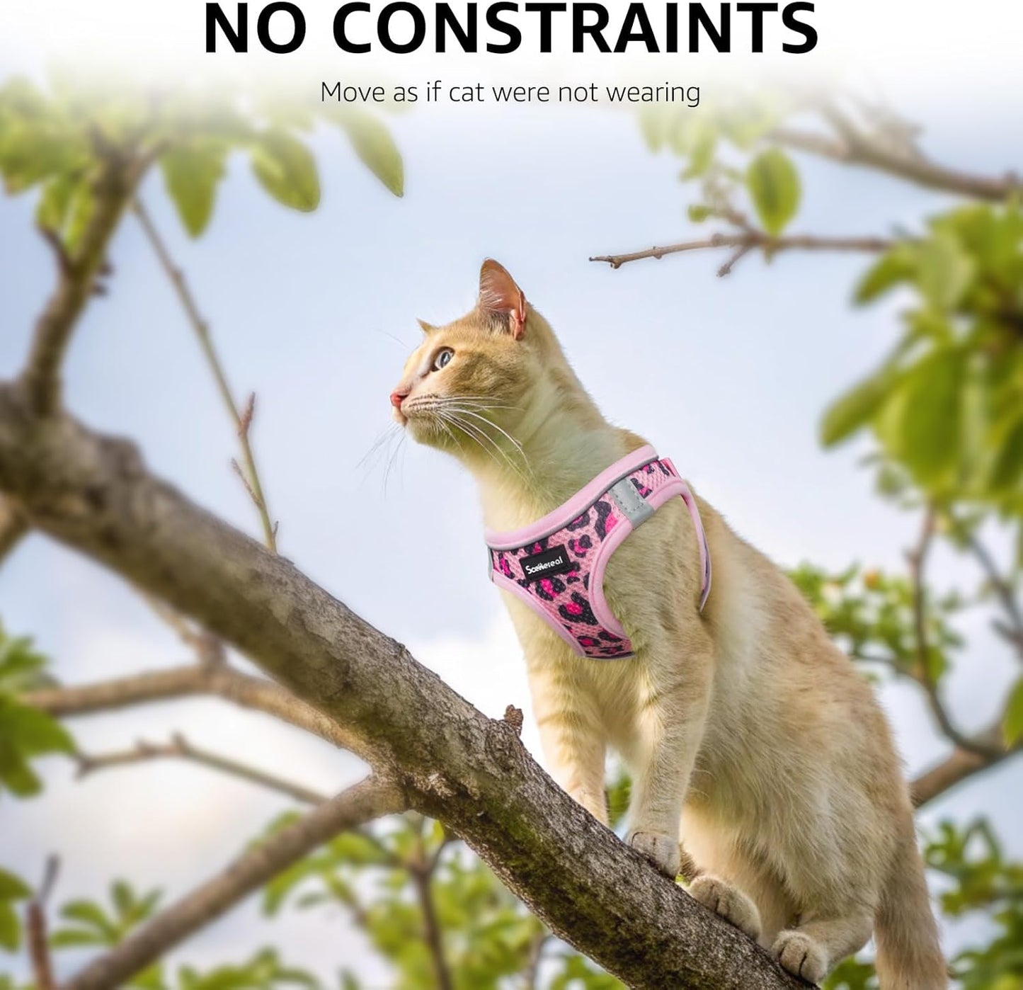 Cat Harness and Leash Set Escape Proof Reflective Mesh Vest