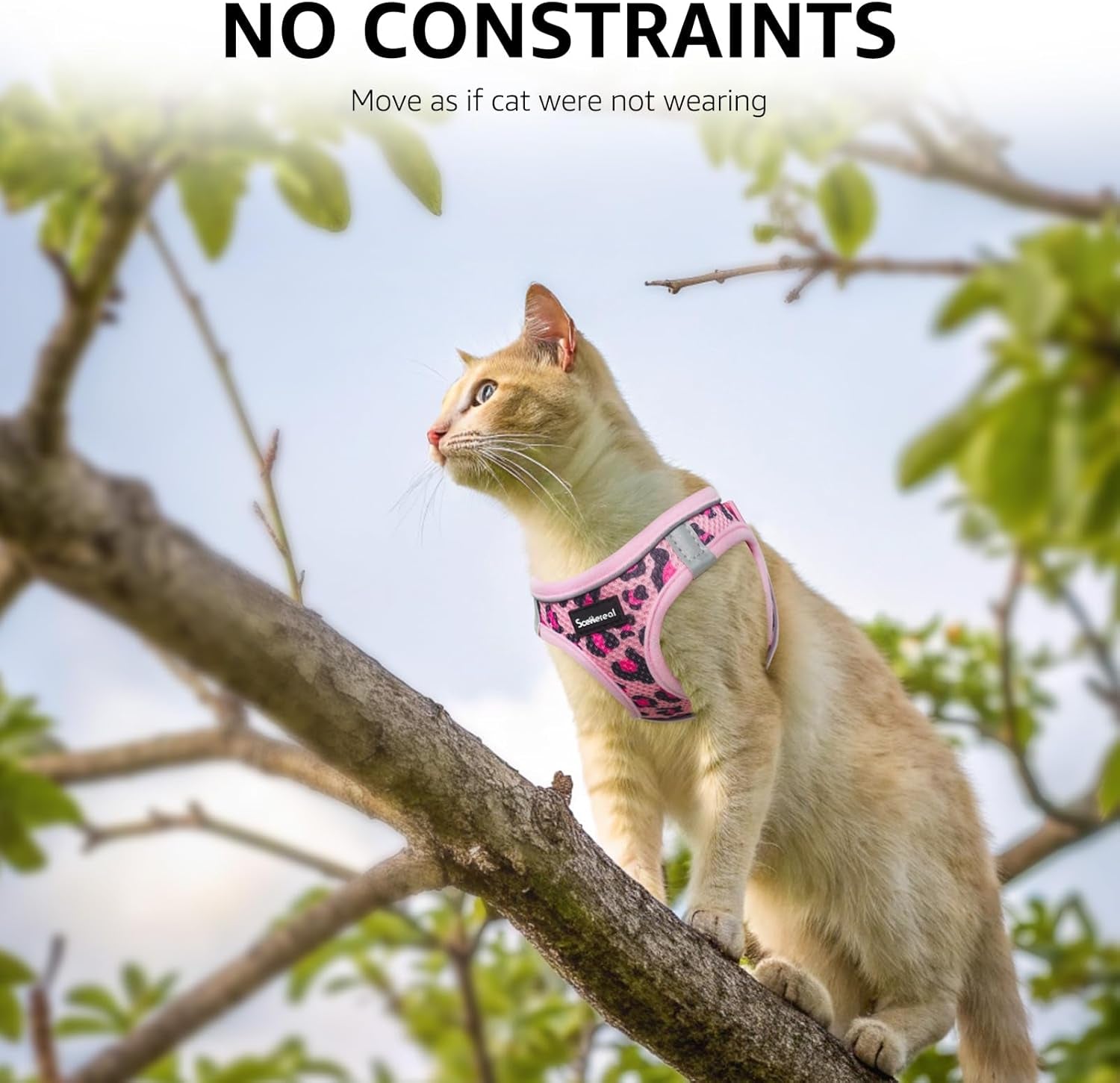 Cat Harness and Leash Set Escape Proof Reflective Mesh Vest