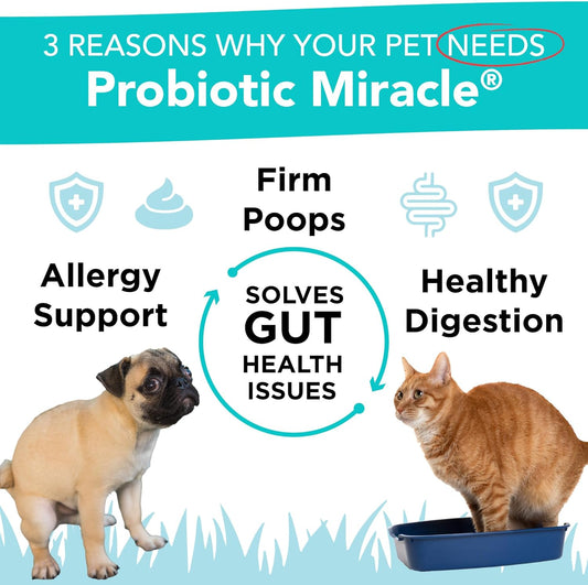 Dog Probiotics Powder 360 Scoops Digestive Enzyme Diarrhea Relief Immune