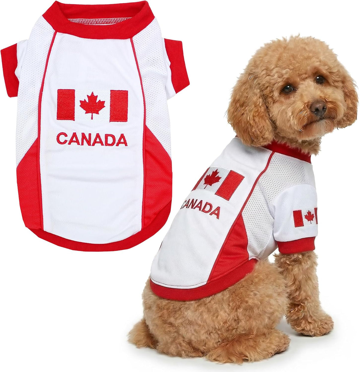 Parisian Pet Soccer Jersey for Dogs – Breathable Mesh Team Jersey, XS–5XL