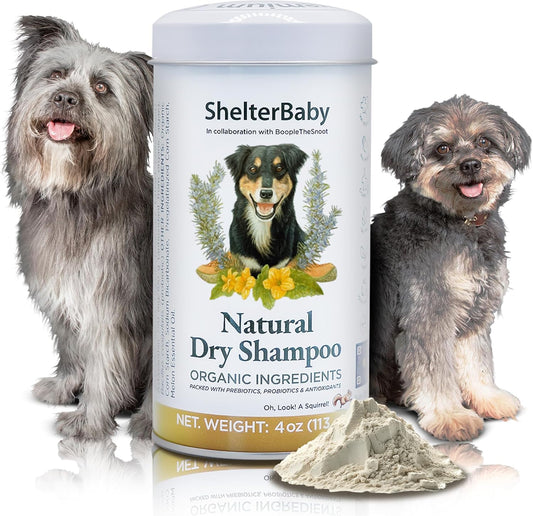 Dry Shampoo for Dogs Itchy Skin Paw Licking Allergy Support Powder 1-Pack
