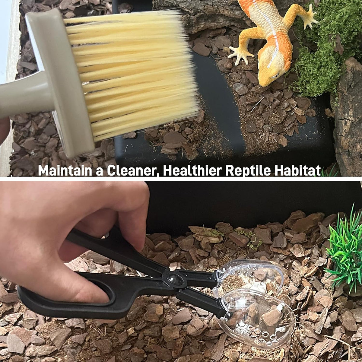 Reptile Habitat Cleaning Kit – 9-Piece Terrarium Tool Set