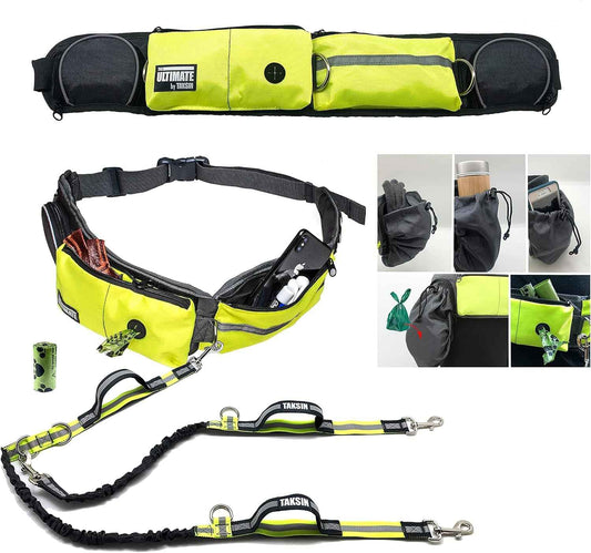 Hands free double dog leash with bungee and reflective stitching for running