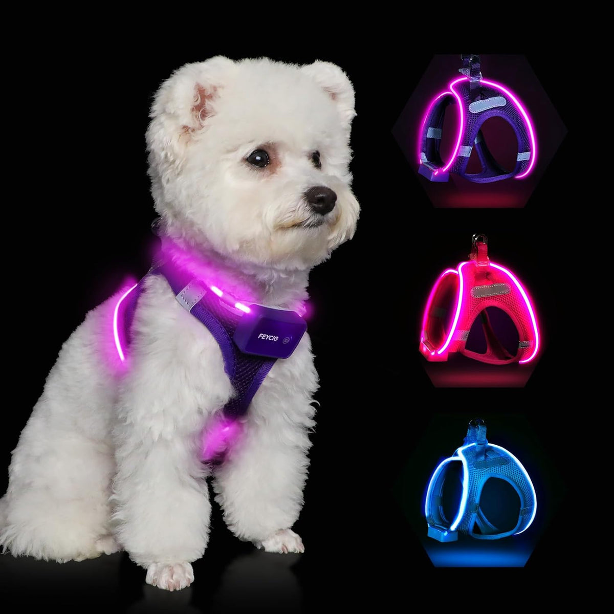 LED Light-Up Dog Harness – Rechargeable, XS–L, 6 Colors