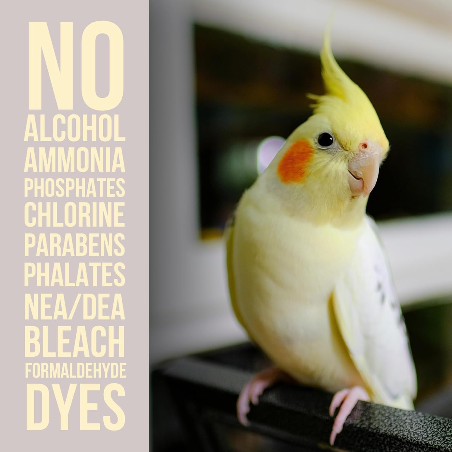 Bird Cage Cleaner Bird Poop Remover Natural Enzyme Spray USA Made