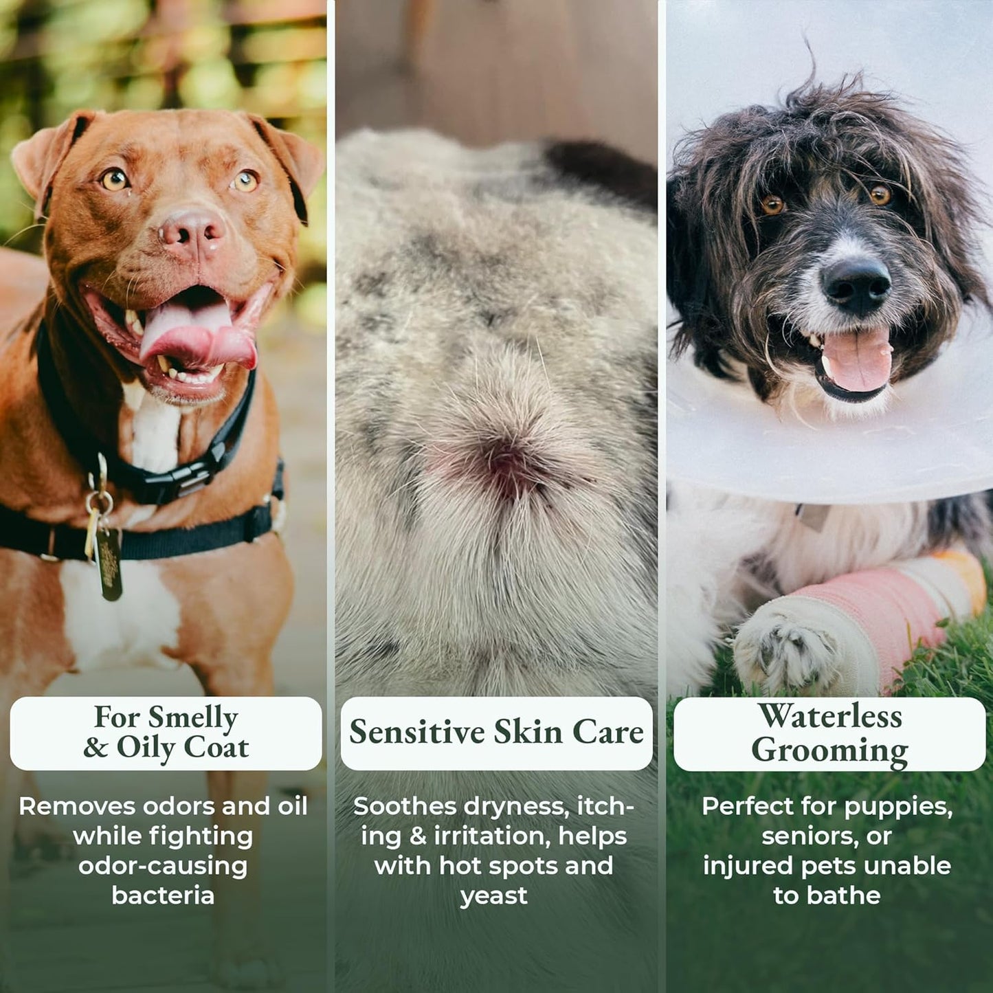 Dry Shampoo for Dogs Itchy Skin Paw Licking Allergy Support Powder