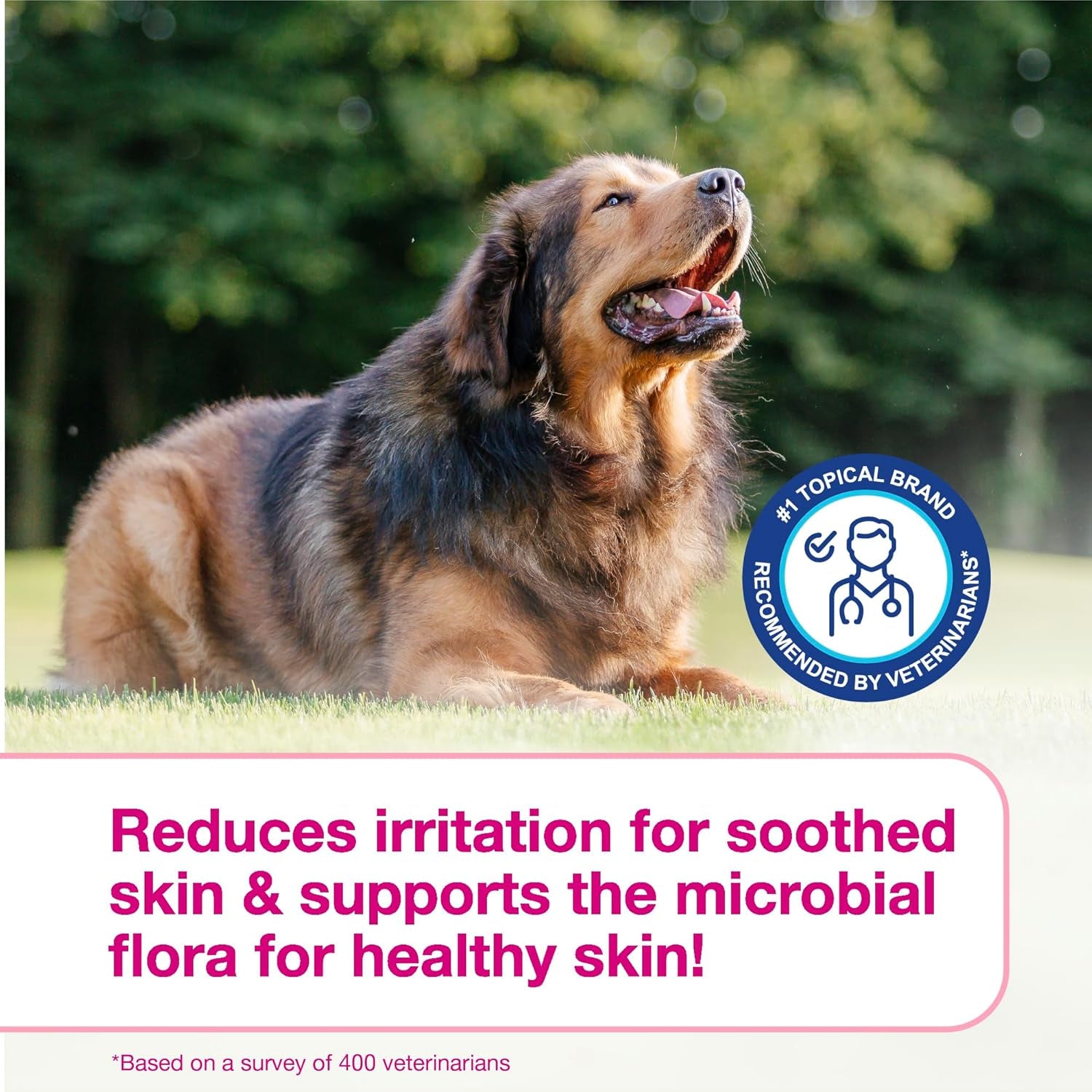 Calm Dog Shampoo & Itch Soothing Mousse Bundle for Dogs Cats