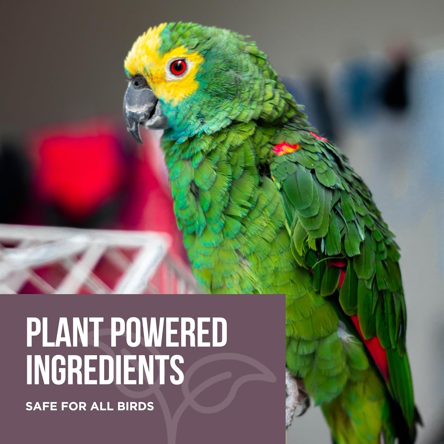 Bird Cage Cleaner Bird Poop Remover Natural Enzyme Spray USA Made