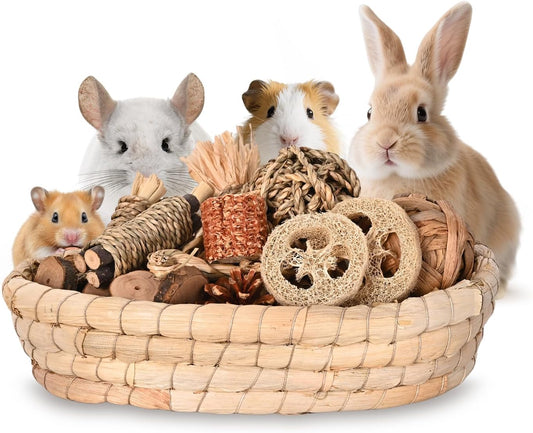 31PCS Natural Rabbit Chew Toys Set for Small Pets Dental Care Chew Toys Set A