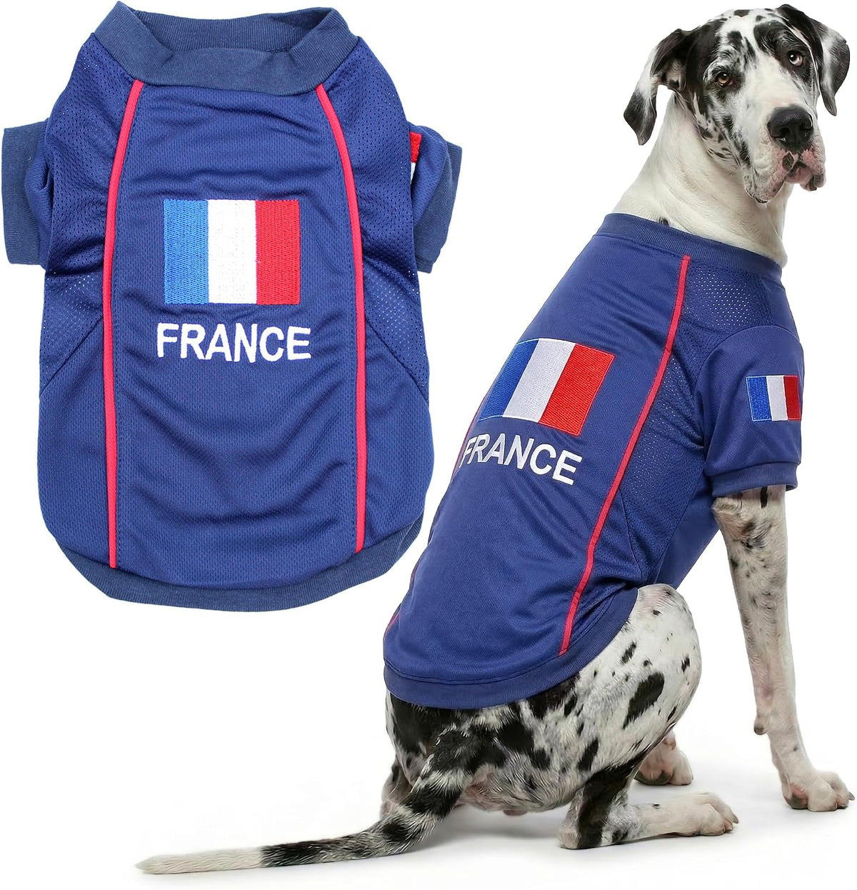 Parisian Pet Soccer Jersey for Dogs – Breathable Mesh Team Jersey, XS–5XL