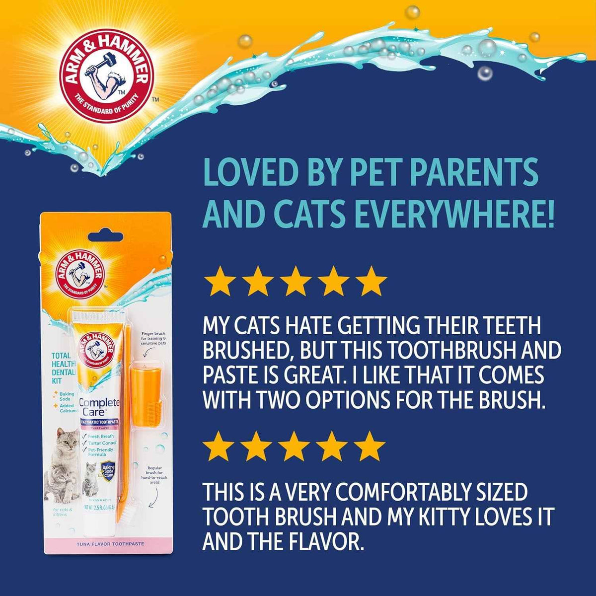 Dog Dental Kit Toothpaste Toothbrush Baking Soda Enzymatic 2.5oz