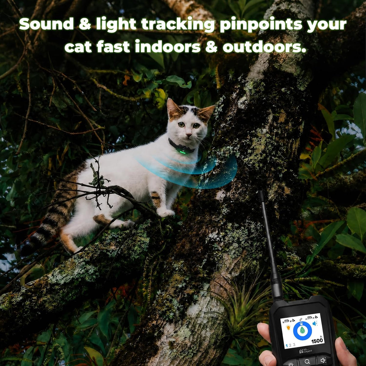 Localizzatore GPS per gatti – Nessun abbonamento, raggio d'azione fuori rete di 450 metri