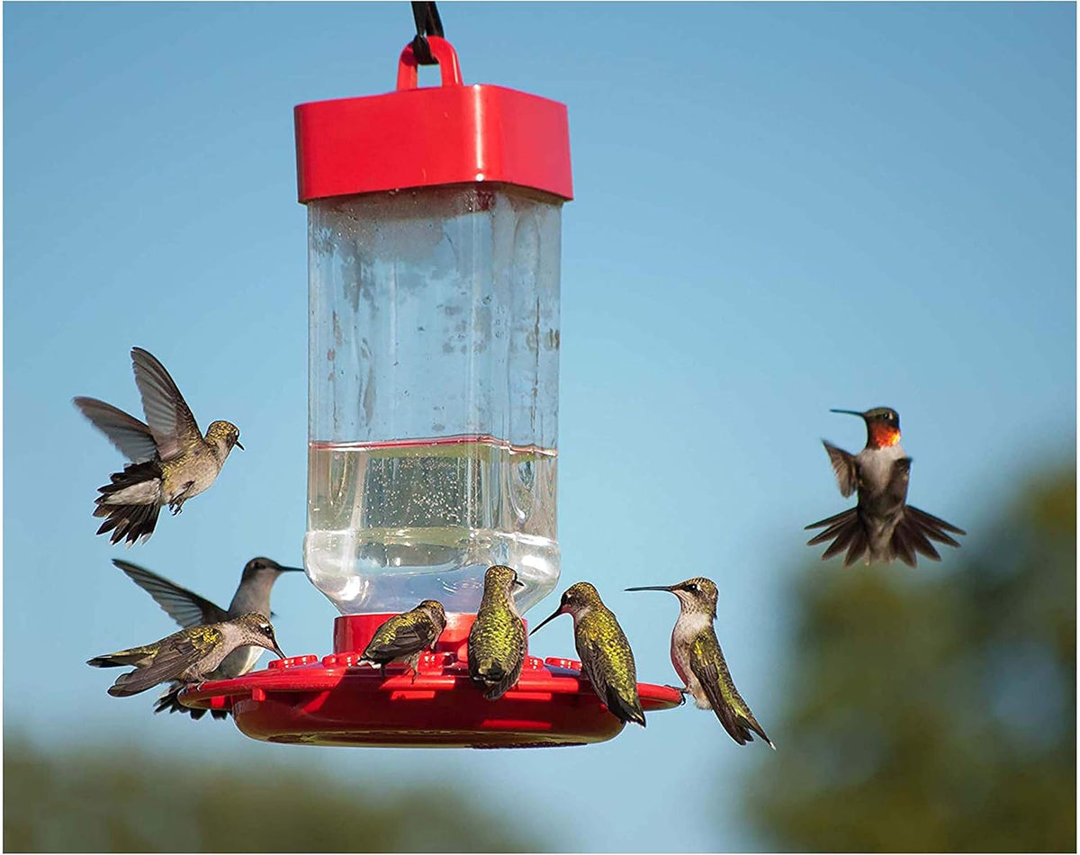 Kaytee Hummingbird ElectroNectar – Ready to Use, 64 oz