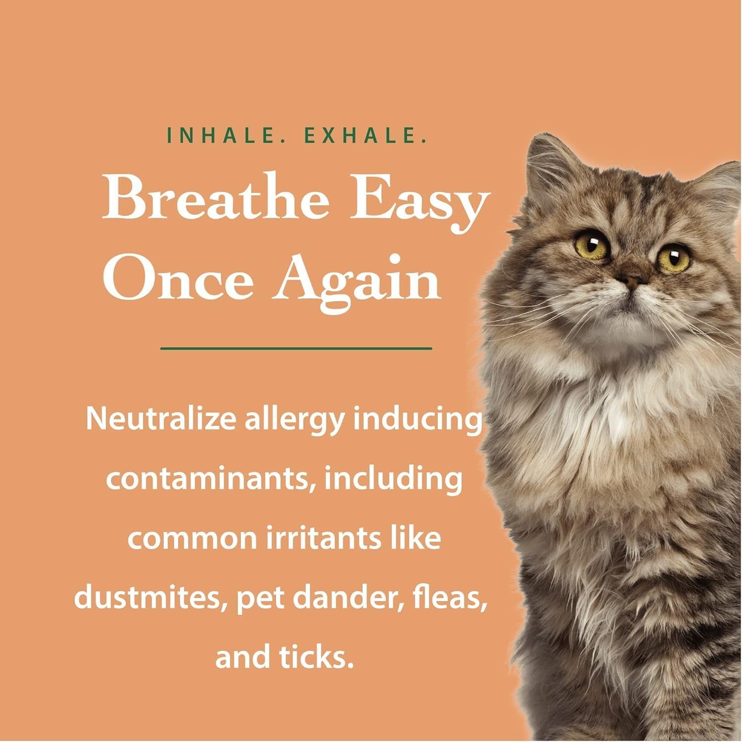 Anti Allergen Pet Shampoo Dog Cat Dander Remover Sensitive Skin 16oz