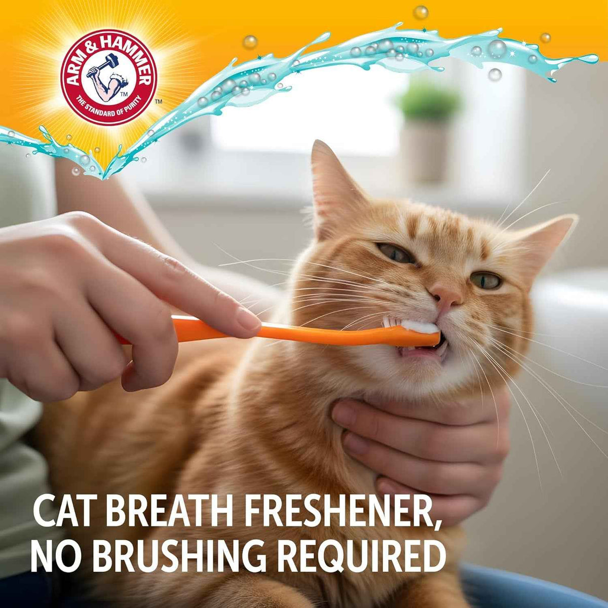 Dog Dental Kit Toothpaste Toothbrush Baking Soda Enzymatic 2.5oz