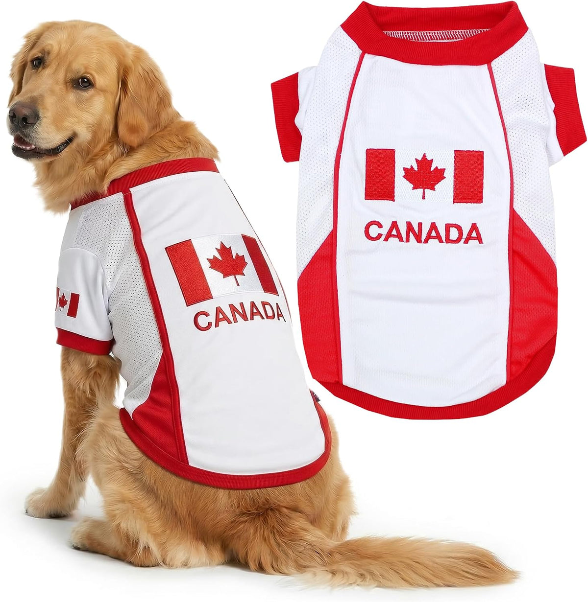 Parisian Pet Soccer Jersey for Dogs – Breathable Mesh Team Jersey, XS–5XL
