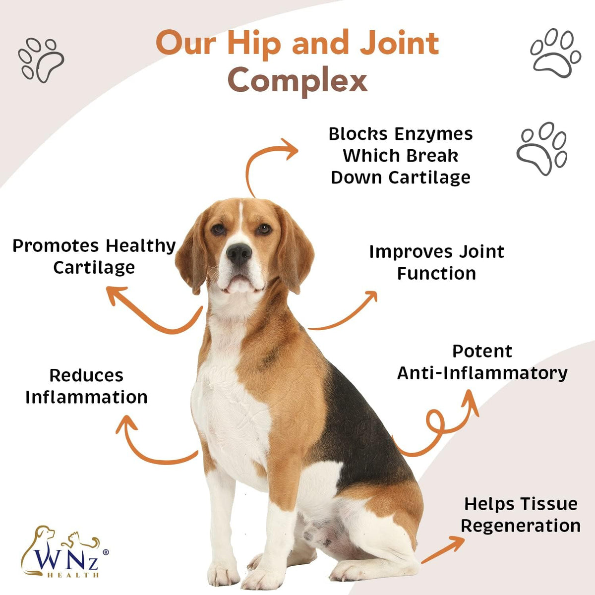 Dog Hip & Joint Chews with Turmeric, Glucosamine, MSM & Chondroitin, 90 count