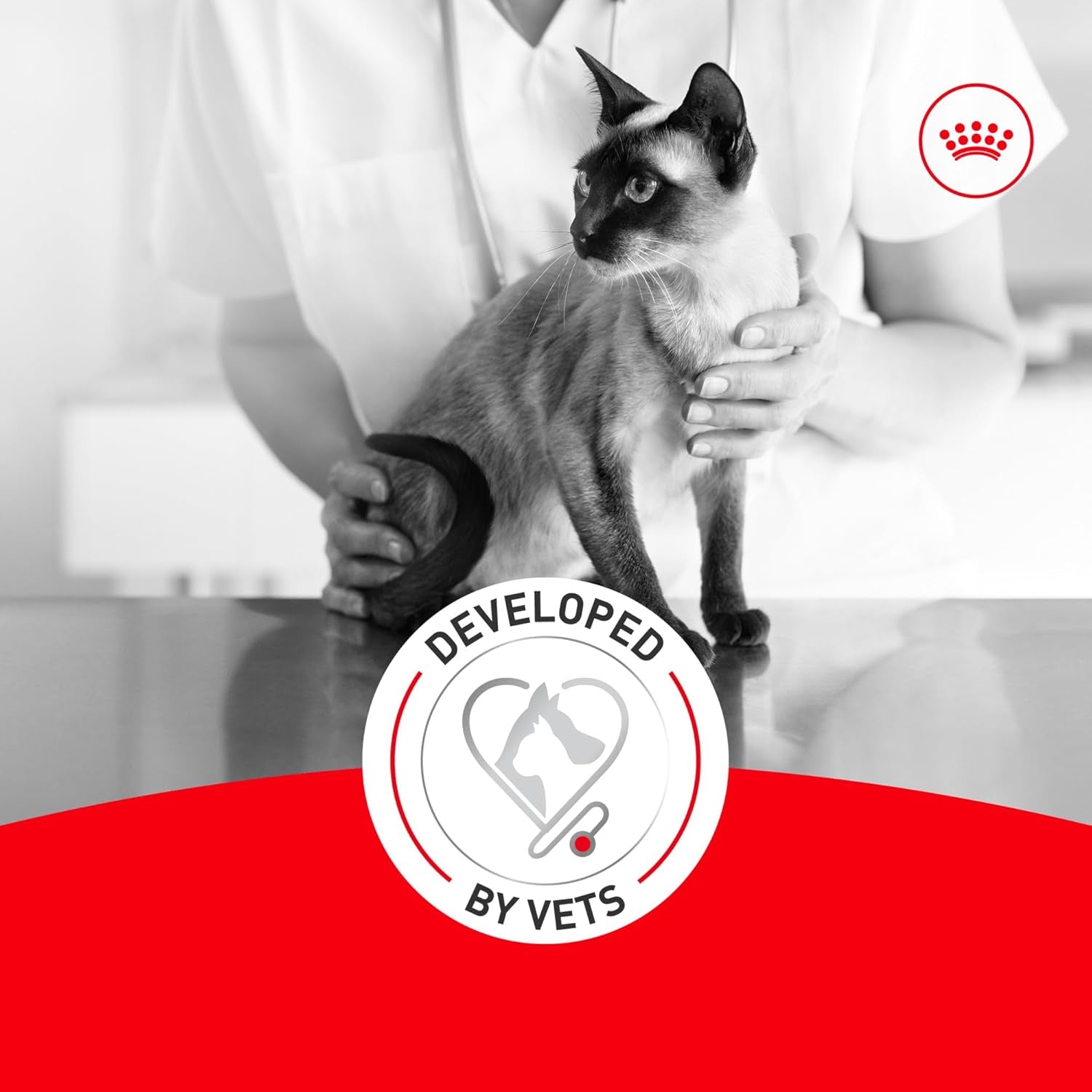 Senior Cat Wet Food 11+ Royal Canin Aging Thin Slices Gravy 3oz 12 Pack