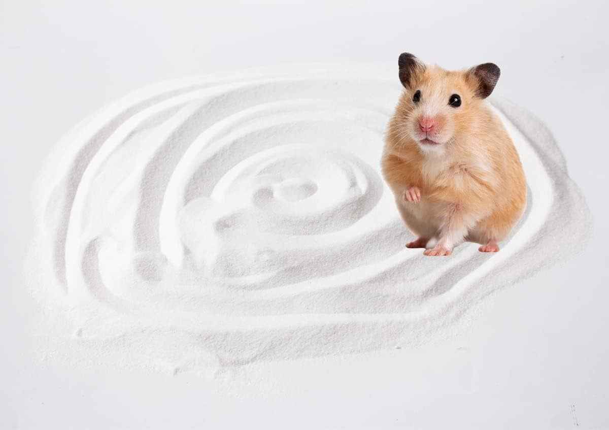 Hamster Bath Sand Dust Free Desert Small Pet Litter Chinchilla Gerbil 3lb