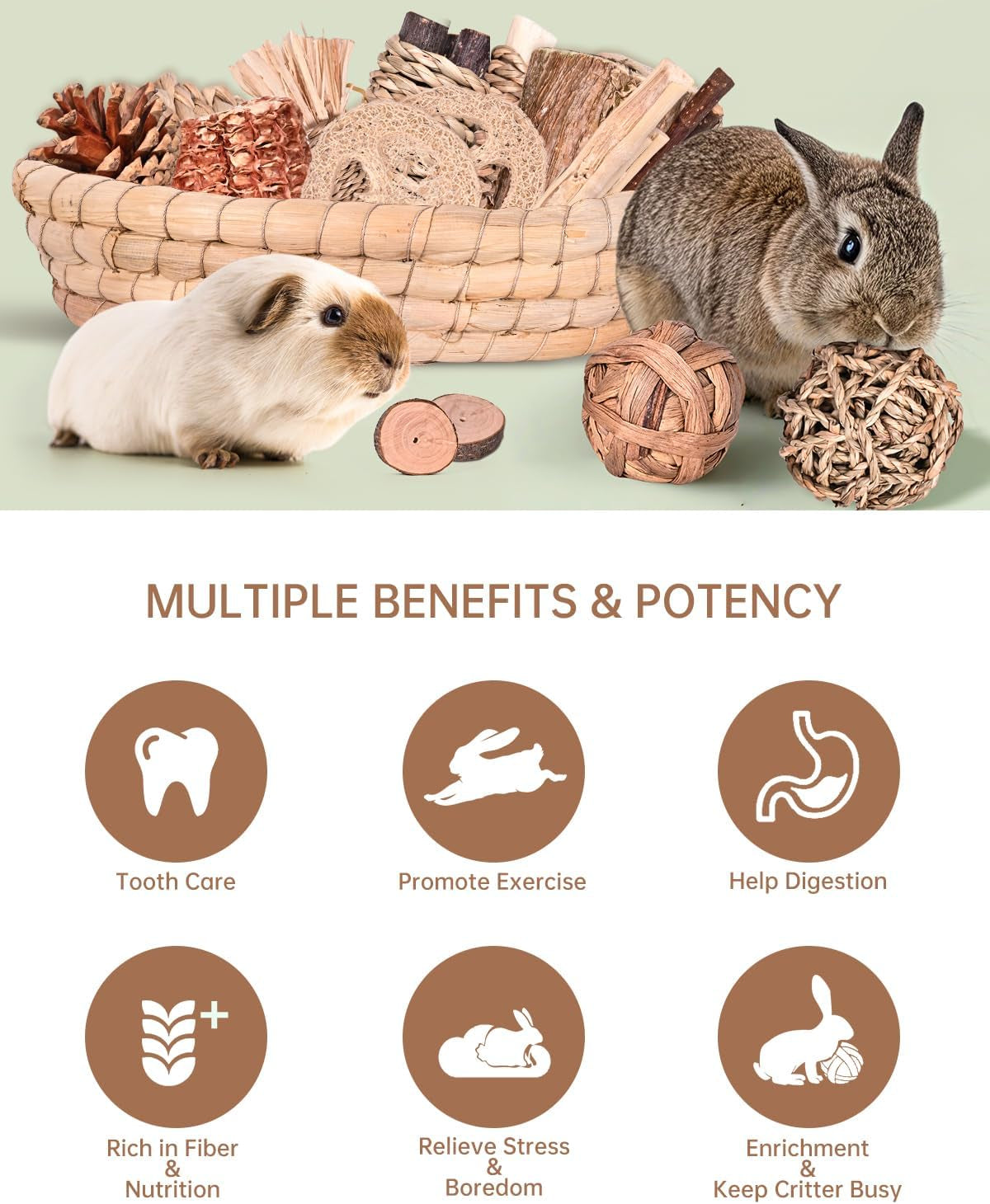 31PCS Natural Rabbit Chew Toys Set for Small Pets Dental Care