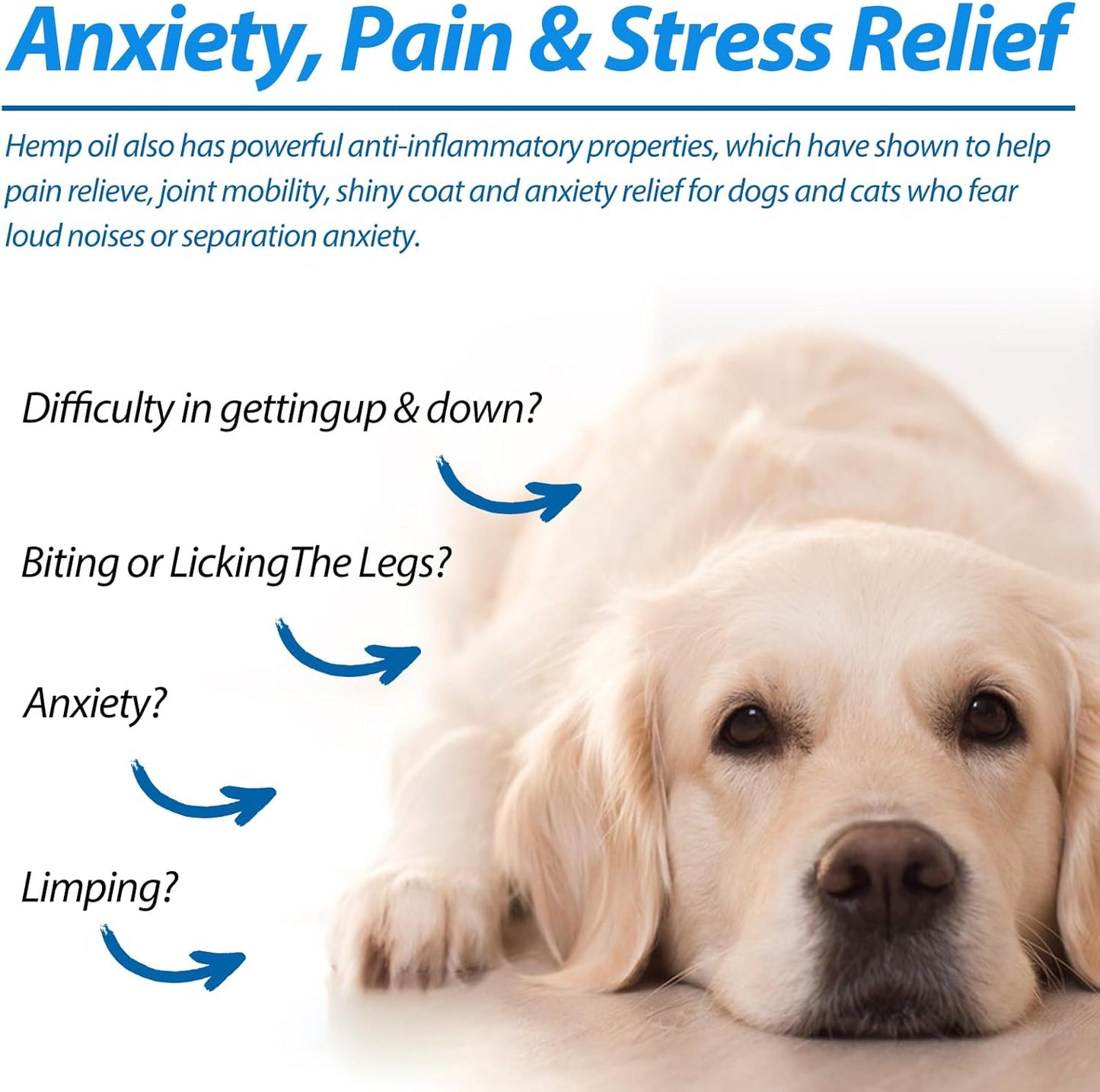 Hemp Oil for Dogs & Cats — Calming, Joint & Skin Support | 60ml Daily Supplement