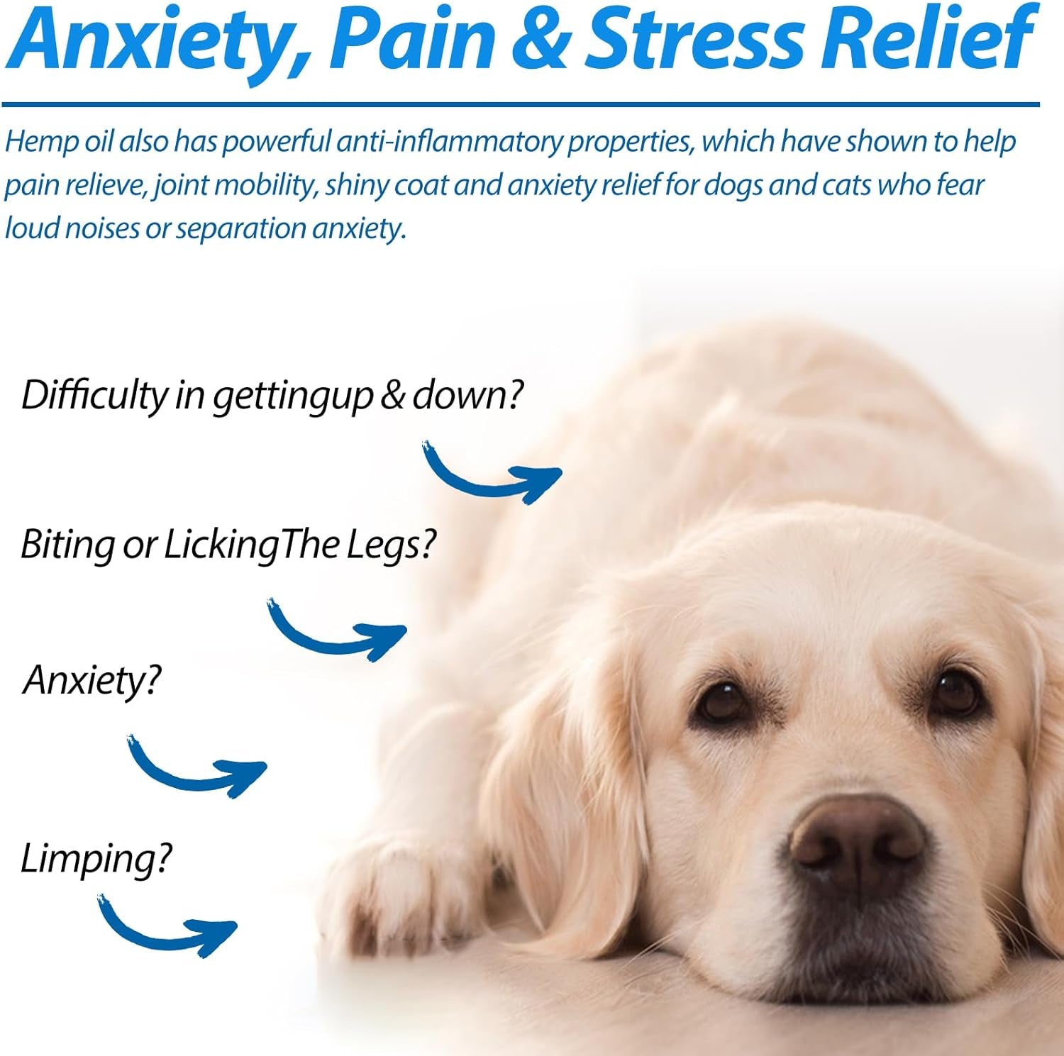 Hemp Oil for Dogs & Cats — Calming, Joint & Skin Support | 60ml Daily Supplement
