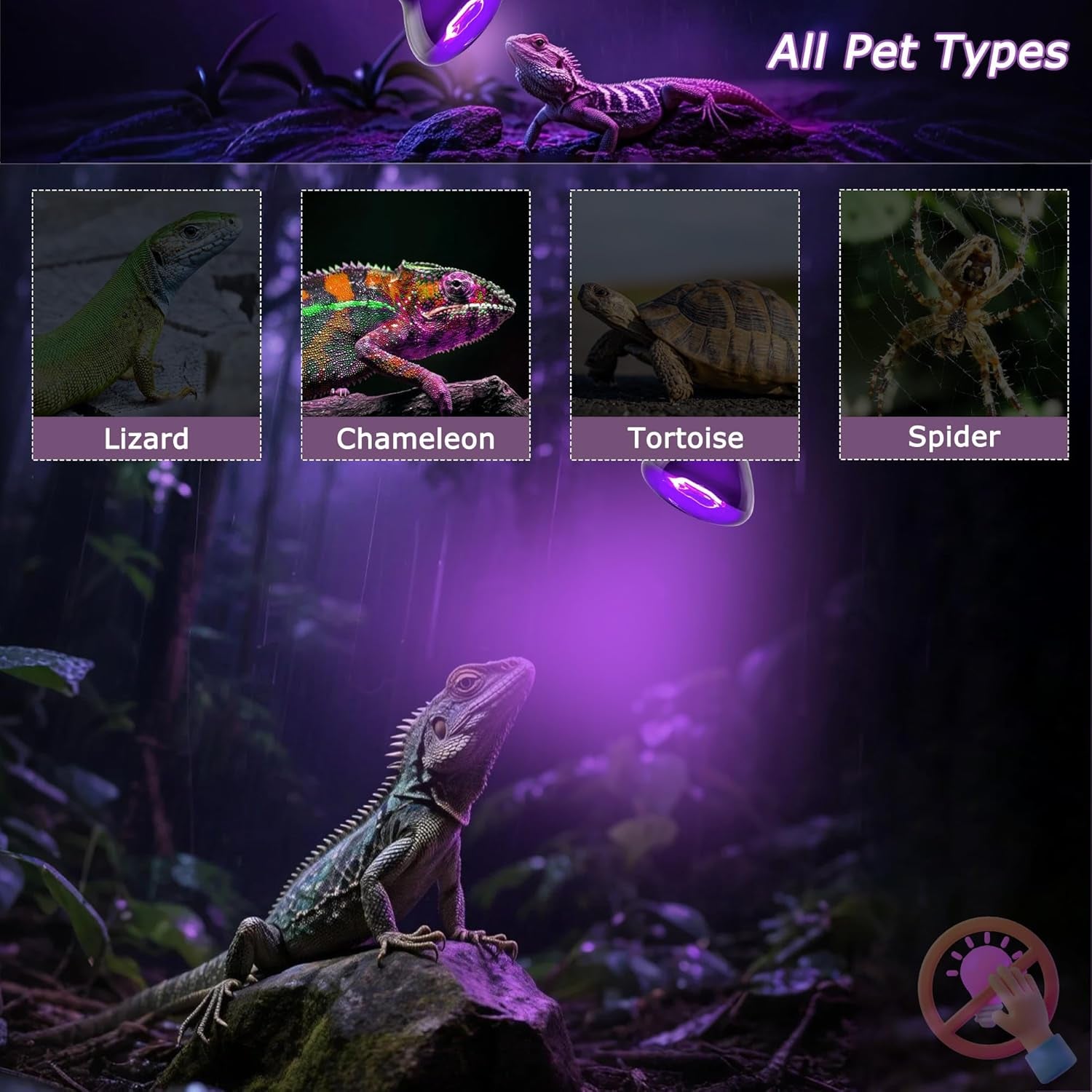 Reptile Night Heat Bulb 75W Purple UVA Basking Lamp E26 2 Pack