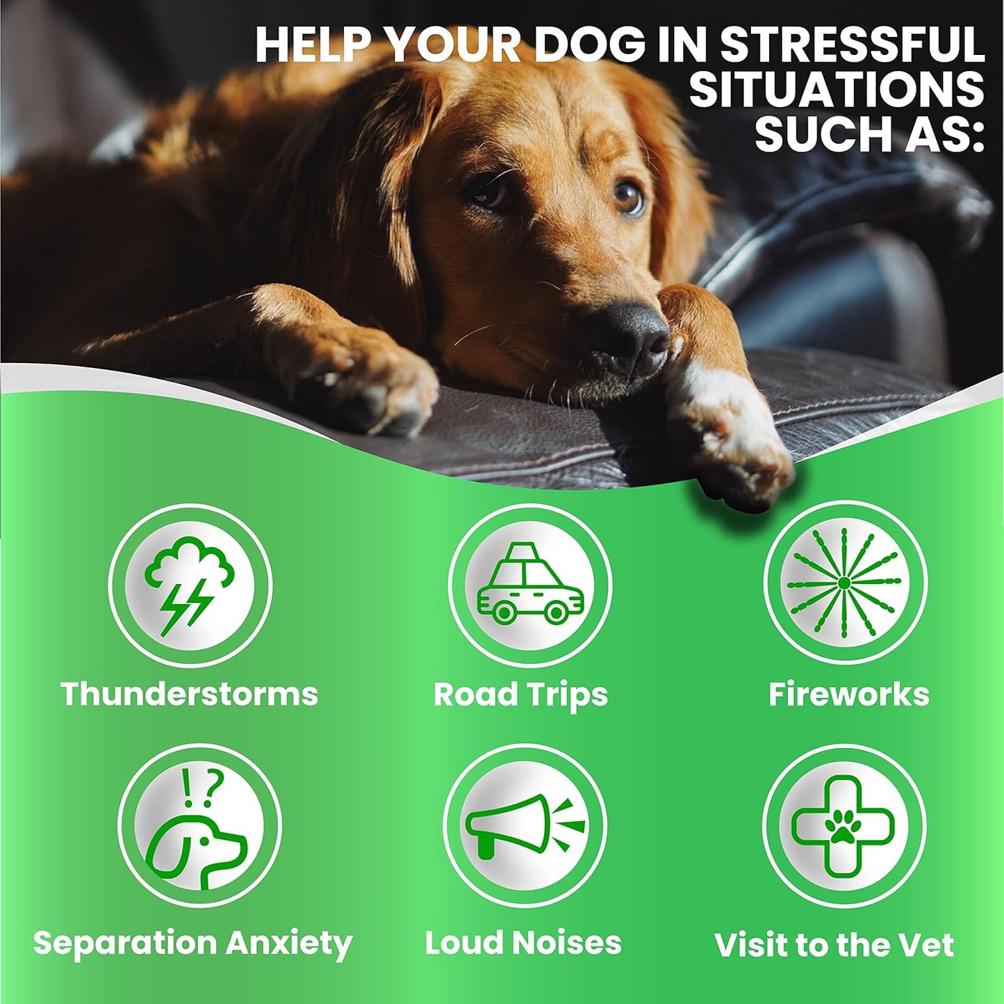 Calming Chews for Dogs Anxiety Relief Sleep & Joint Support 170 Ct