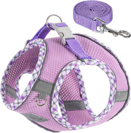 Dog Harness and Leash Set No Pull Reflective Step In Adjustable Small Dogs Cats Purple