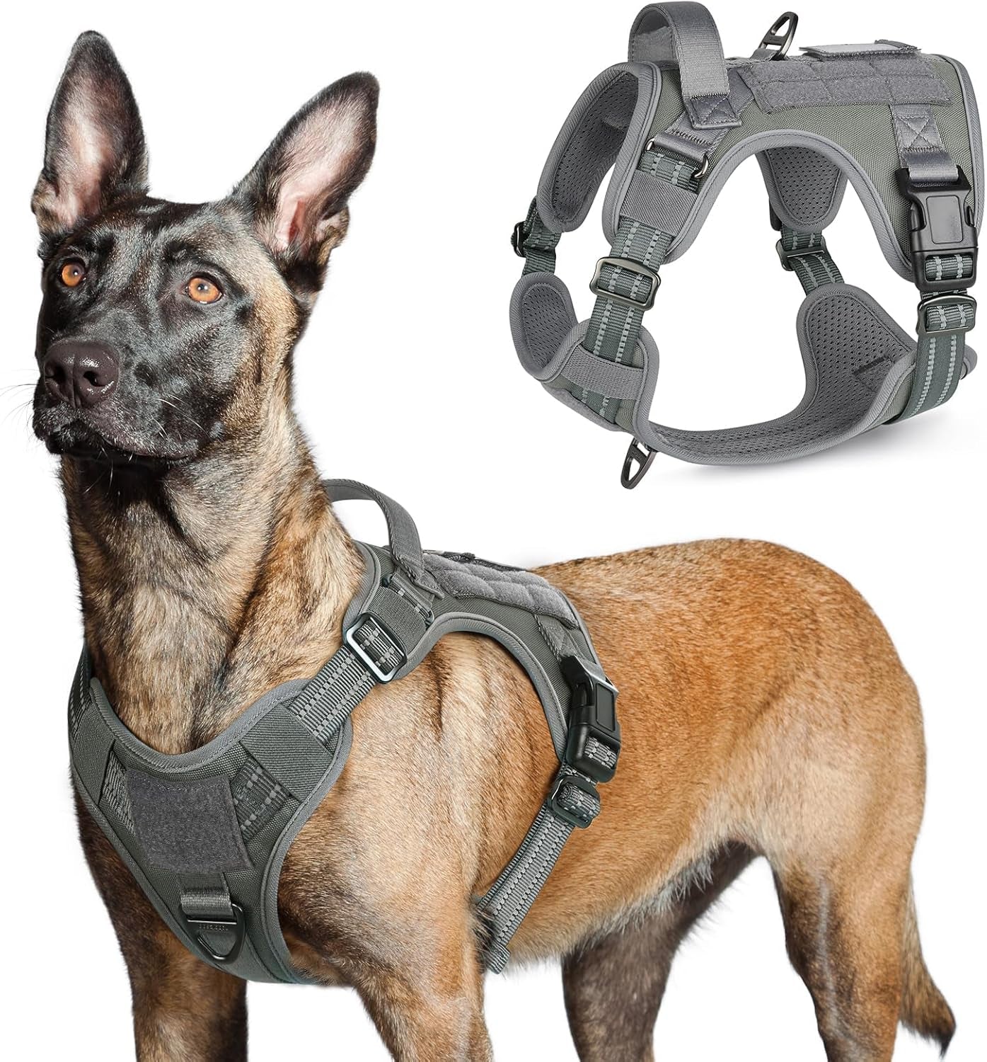 No Pull Tactical Dog Harness Molle Vest Adjustable Medium Large Dogs Grey Large