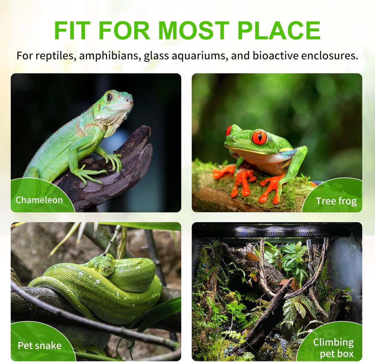 Automatic reptile mister with timer and six adjustable nozzles for habitat