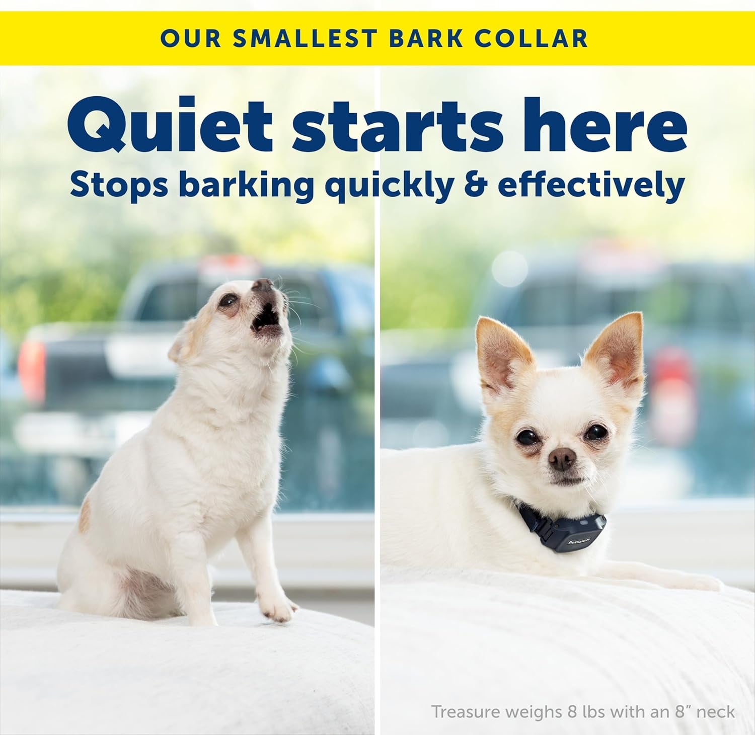PetSafe NanoBark 2.0 Bark Collar for Small Dogs Rechargeable Waterproof