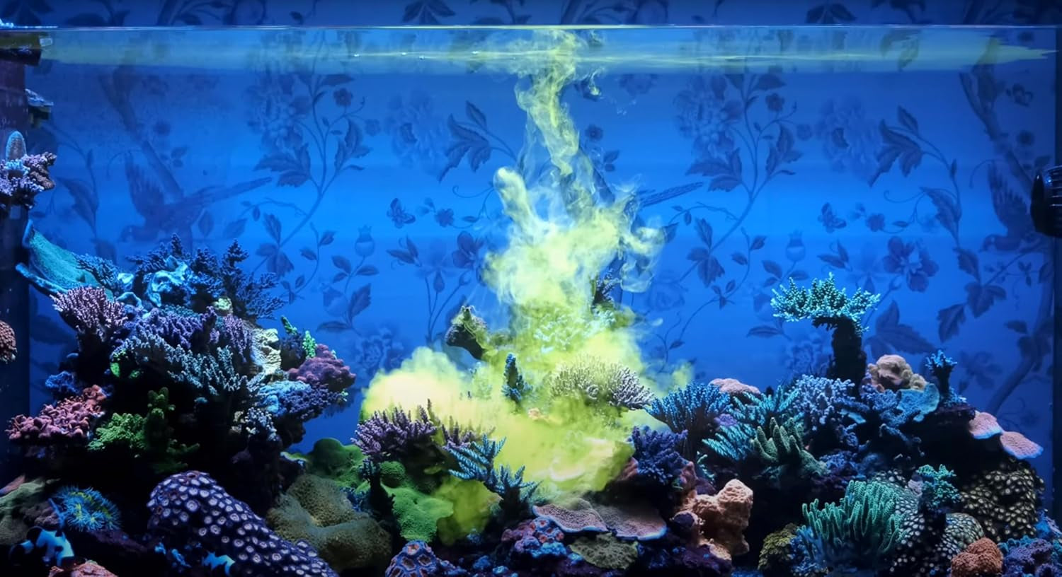 Red Sea Reef Energy Plus AB+ 500 mL All-in-One Coral Food