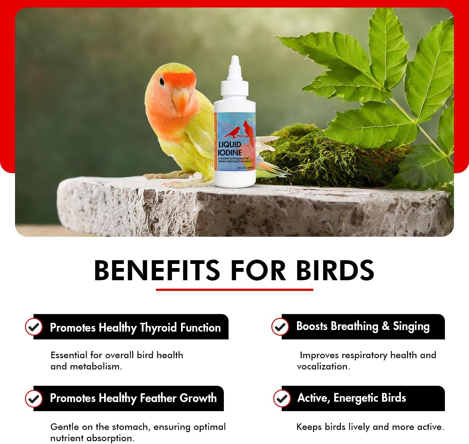 Liquid Iodine Supplement for Birds Feather Thyroid Support 4oz