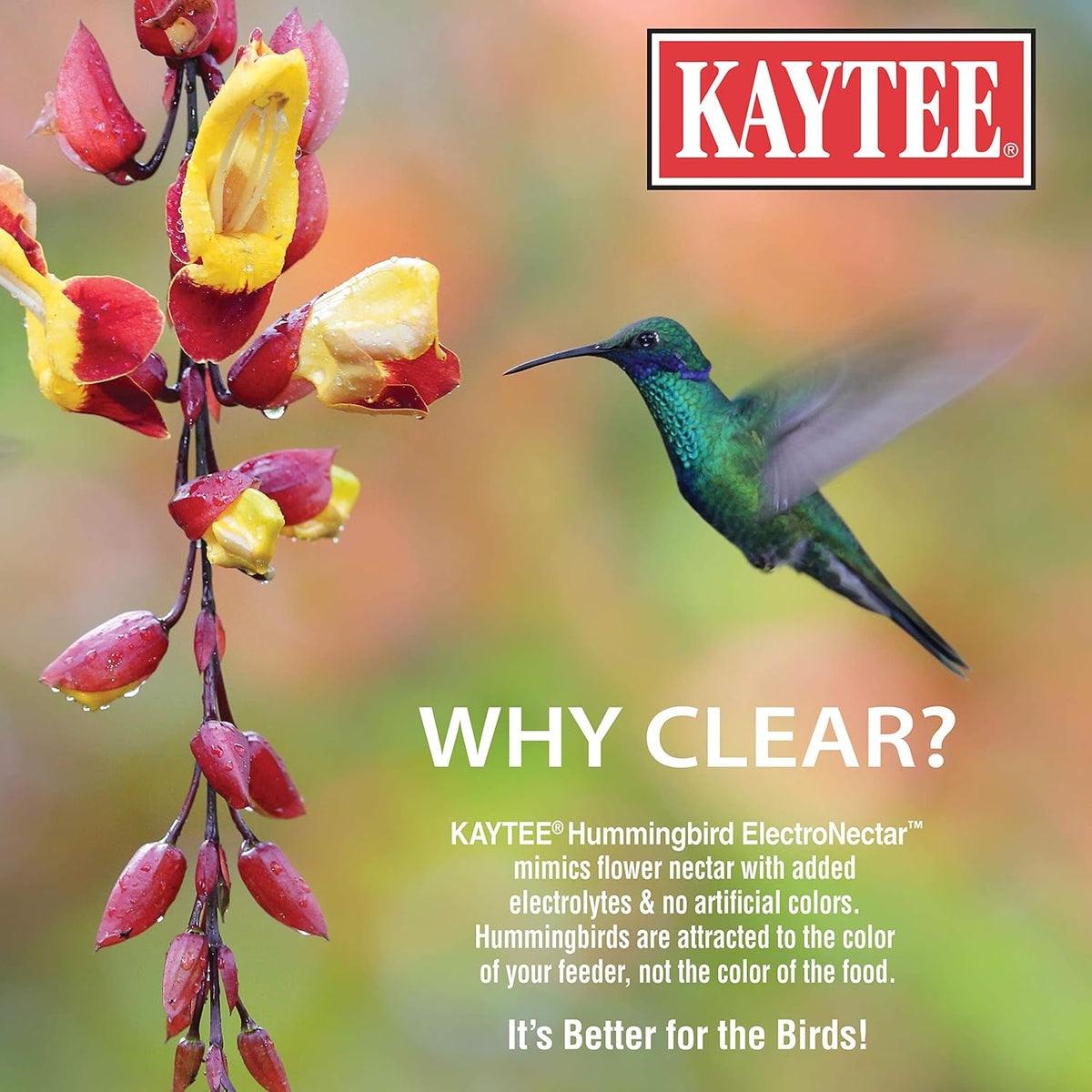 Kaytee Hummingbird ElectroNectar – Ready to Use, 64 oz