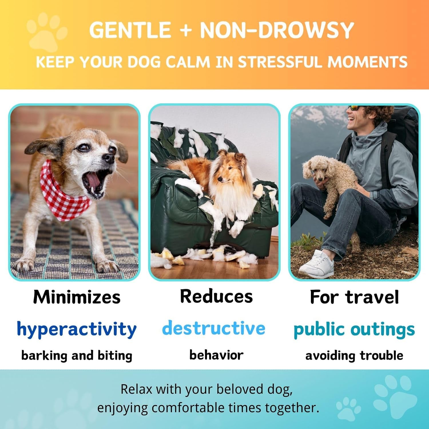 Hemp Calming Chews for Dogs — Natural Anxiety & Stress Relief | 200 Count