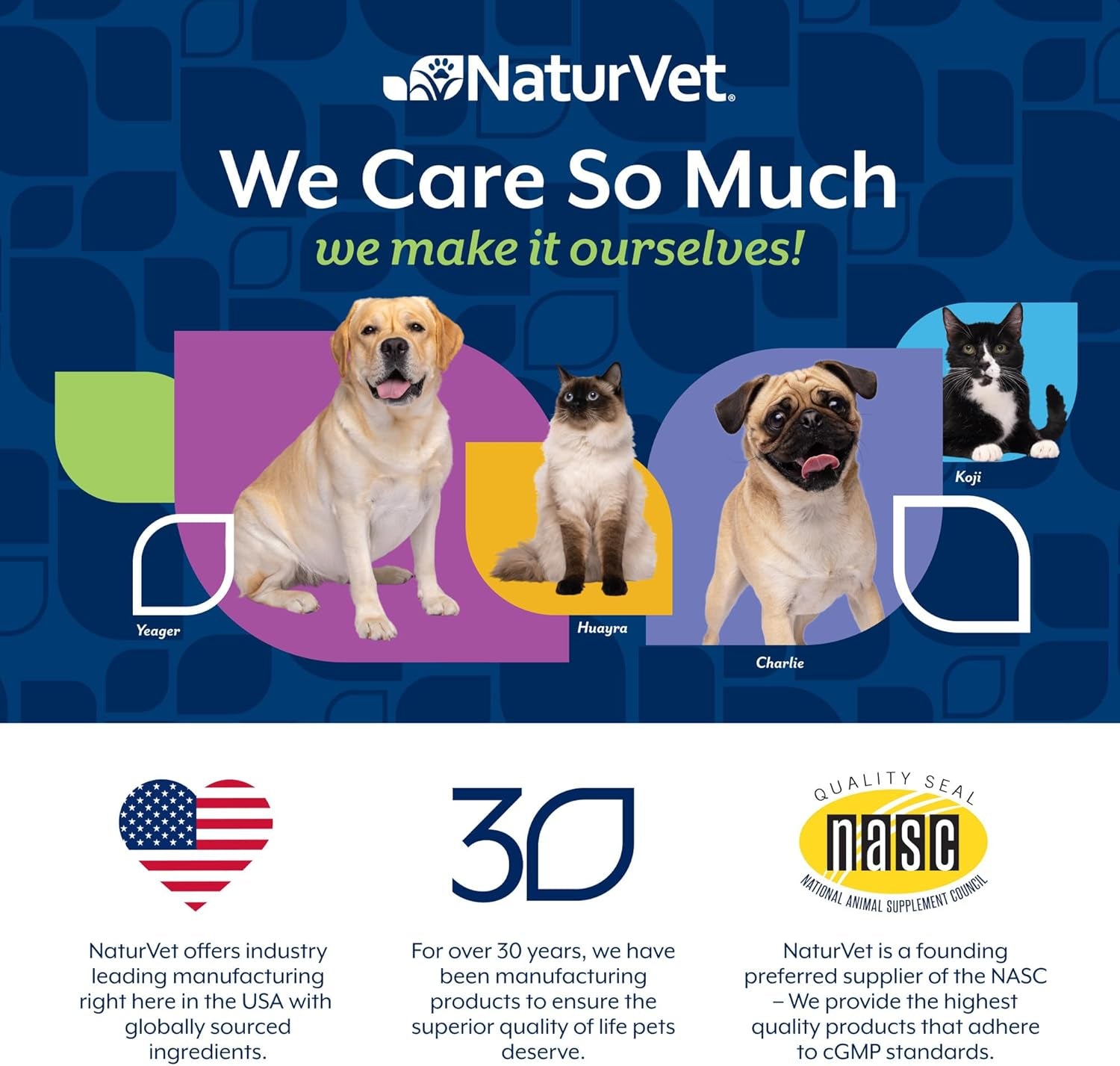 Dog Multivitamin Soft Chews 10 in 1 Joint Skin Digestion Immune 60ct