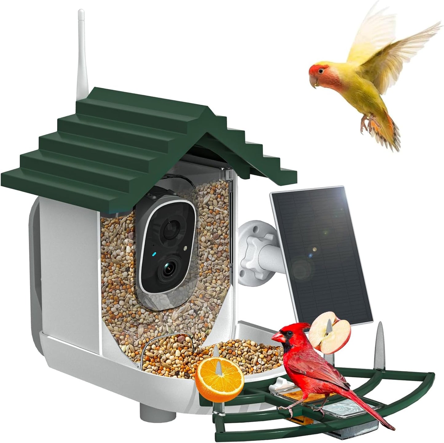 NAVFS Smart Bird Feeder Camera with Solar Panel, 2K Video & AI Bird ID